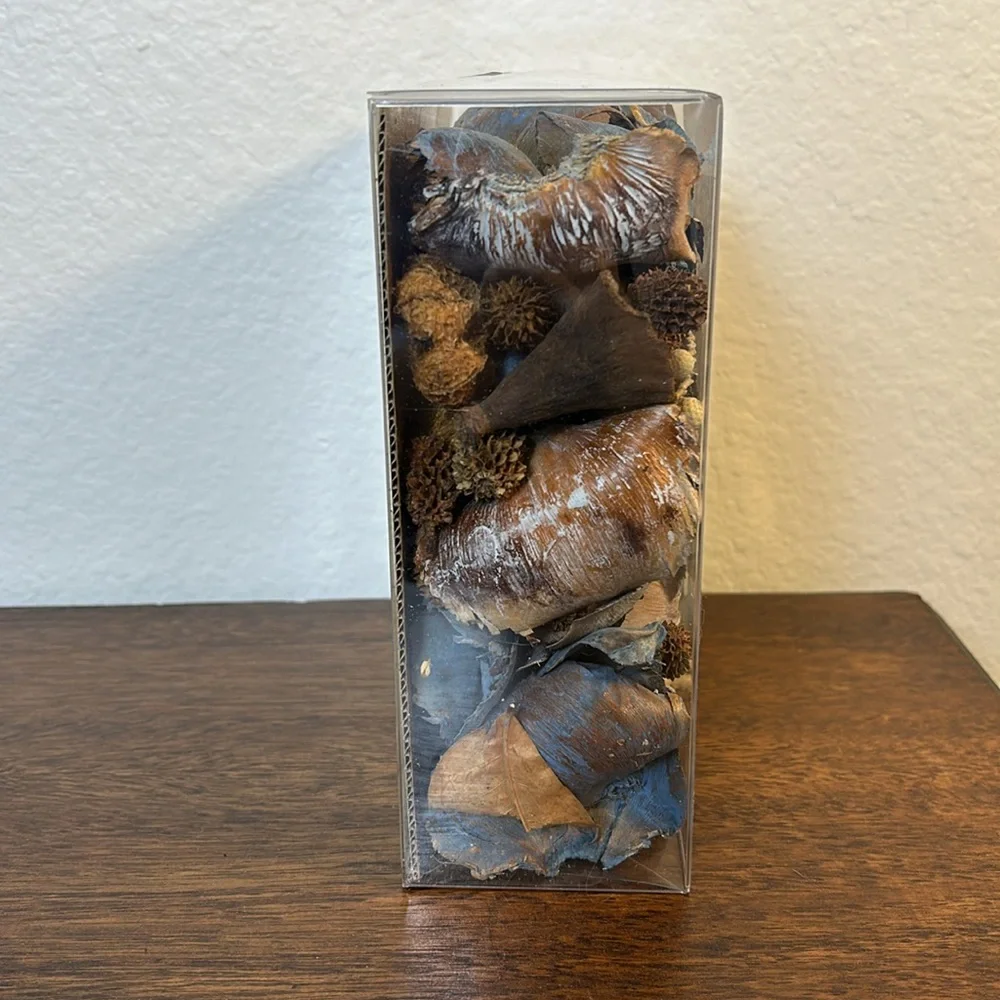 NWT Boxed Natural Golden Mimosa Blue Potpourri Decor Container Filler